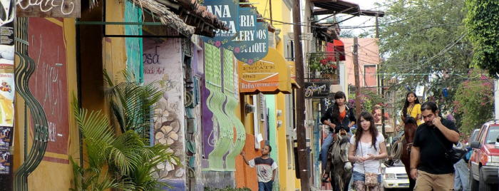 Ajijic 4