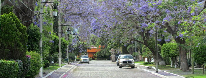 Ajijic