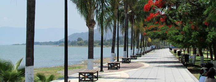 Malecon 4